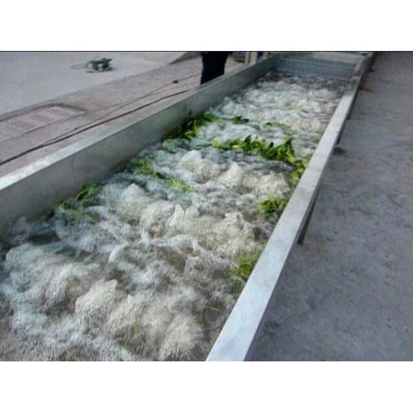 High Pressure Air Bubble Vegetable Wash Line , Fruit And Vegetable Washer Machine
