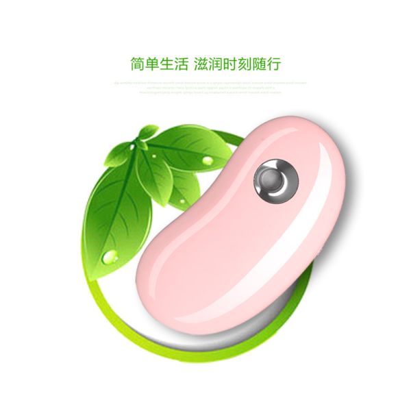 Beauty Facial Hydrating Skin Water Sprayer with Power Bank GK-SP02