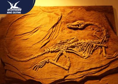 High Simulated Realistic Dinosaur Fossil Life Size For Zoo Or Technology Center