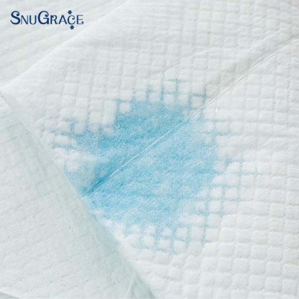CE ISO Certified Disposable Dog Pads with Fast Absorption Capacity of 100-2000ml