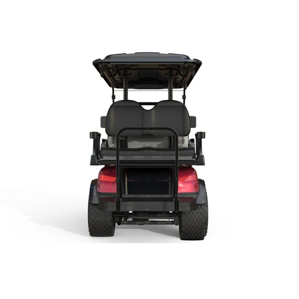 Carro de golf legal de la calle NL-JA4 2.G Buggy eléctrico para el club turístico 10% Capacidad de escalada 30Km/h Máxima velocidad