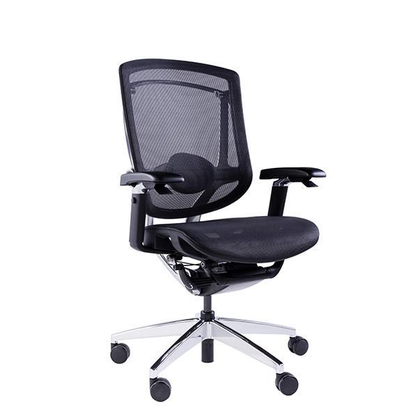 Headrest Optional 5D Wire Control Armrests Computer Desk Mesh Office Chairs