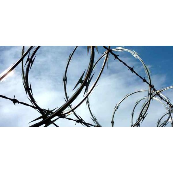 Stainless Steel Concertina Coil Fencing Security Barbed Wire 54-56loops