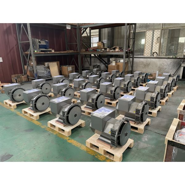 alternateur 22kva sans brosse pour la voiture particulièrement réfrigérée