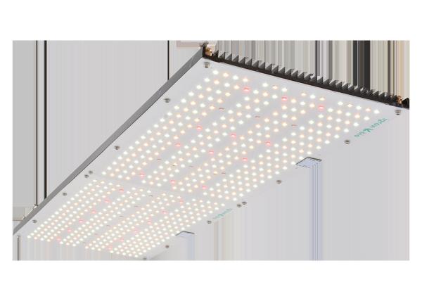 2.8umol/j 240w Quantum Board Led Grow Lights Samsung Lm301b