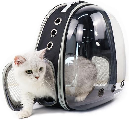 Comfortable Cat Outing Travel Box Metal Frame and Breathable Comfort for Adventures