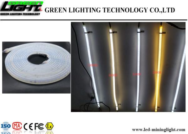 Customize LED Flexible Strip Lights DC 36V 60 LEDs / Meter Waterproof RGB SMD5050