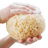 Natural Children Sponge For Bath Massage Hypoallergenic Unscented With Size Is 9*8*8cm And Weight Is 10 Gram