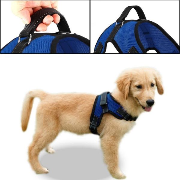 No Pull Reflective Air Mesh 22 Inches Nylon Dog Harness