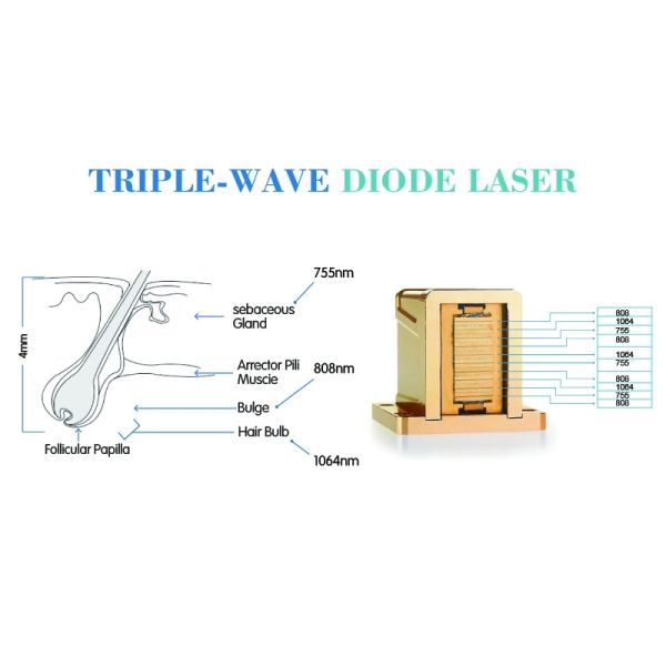 2019 Triple Wavelength 808nm diode laser lumenis lightsheer duet laser for sale