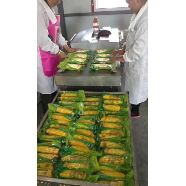 Машина упаковки вакуума камеры полиэтиленового пакета, промышленная машина упаковки вакуума