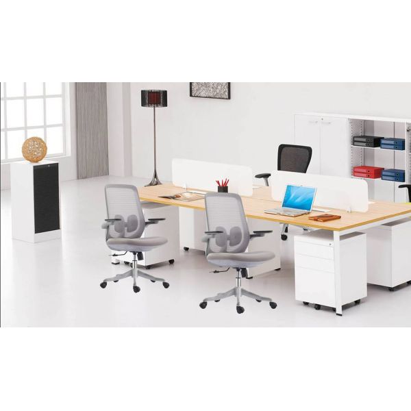 Mid Back Ergonomic Mesh Task Chair 2D Ergonomic Luxury Office Chair