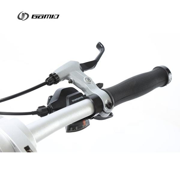 Custom Foldable Bicycle GOMID Aluminium Alloy Folding City Bike with 8 SPEED Gears SHIMANO Cassette and SCHWALBE Tire