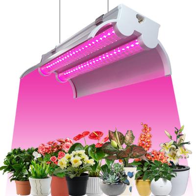 Lâmpada de cultivo de LED T8 de fileira dupla 36 W Faixas de iluminação de cultivo vinculáveis ​​para plantas de interior
