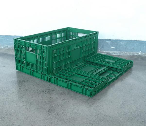 Foldable Mesh Crates and Egg Plastic Boxes for Convenient Egg Transportation