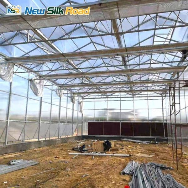 commercial low cost agricultural greenhouse sale hot house greenhouse polycarbonate sheet greenhouse for agro