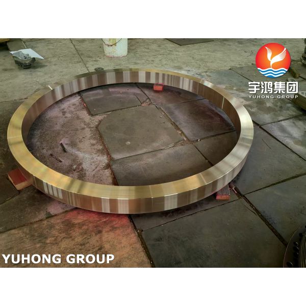 ASME SB171 C70600 Copper Nickel Alloy Ring For Seawater Corrosion Resistance