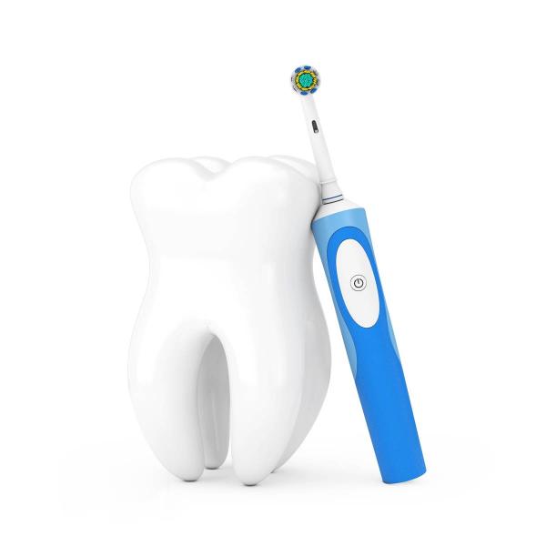 Ce Mark Intertek Test Laboratories Electric Toothbrush Third-party authentication service