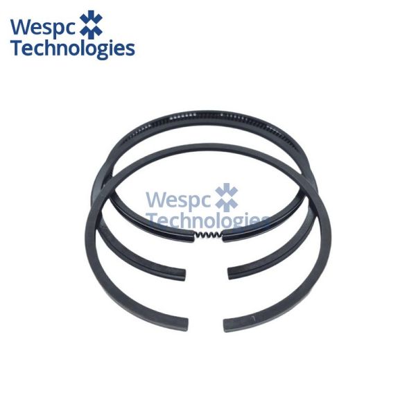 WESPC 4181A041 Piston Ring Kit For Perkins 1004 And 1006 Series Diesel Engines