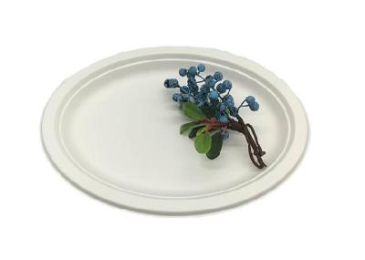 Placas biodegradáveis do bagaço da cana-de-açúcar da resistência de óleo de 10 polegadas 515ml