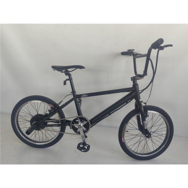 KT Controller 2024 250W 24V 10.4 A PAS Single Speed Electric Bike with Hidden Battery