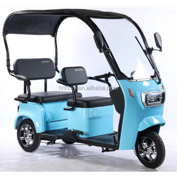 2024 Adult Cargo Electric Tricycle Motorcycle Bike Three Wheel Electric Tricycle 3 Wheel Single Gross Weight 75.000 kg