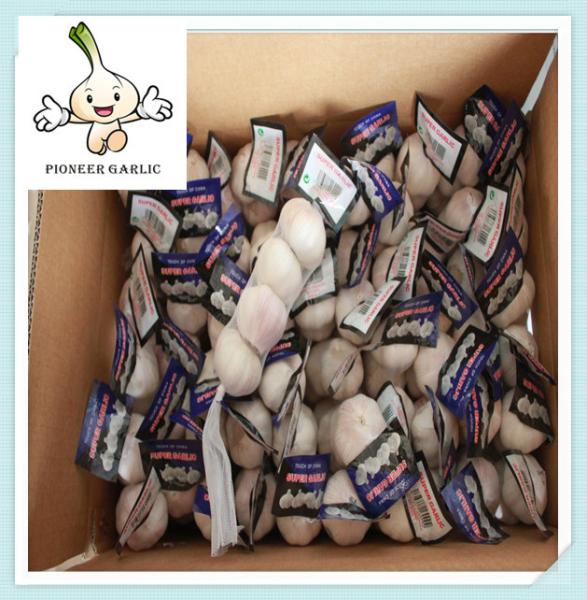Cheap Price Normal White Garlic Export Good Price Shandong Garlic Price 10Kg Carton