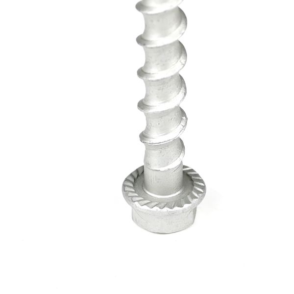 Противосоприкосновение поддержка формы фланца шестеренговая нержавеющая сталь M8 бетонные винтовые якорные болты