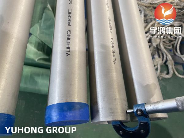 Tubo de caldeira sem emenda de aço inoxidável do tubo de ASTM A213/ASME SA213 UNS S34709/TP347H
