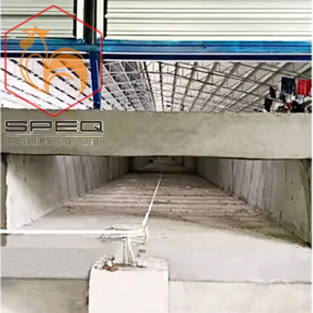 Customizable Poultry Breeding Broiler Equipment Chicken Farm Feeding Line
