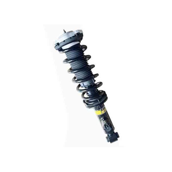 37106887148 33536884916 For BMW X3 X4 G01 G02 Rear Shock Absorbers Strut ASSY w/VDC 14-24