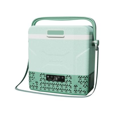 Mini Car Freezer Cooler 12v Refrigerador portátil