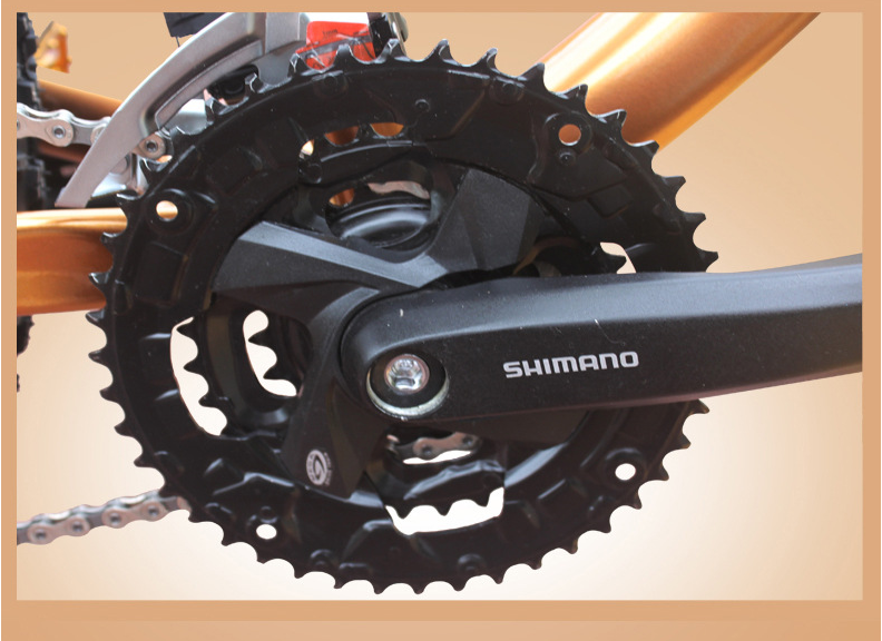 Load 150kg 30 Speed 26 Inch Wheel Fat Tire Sand Bike