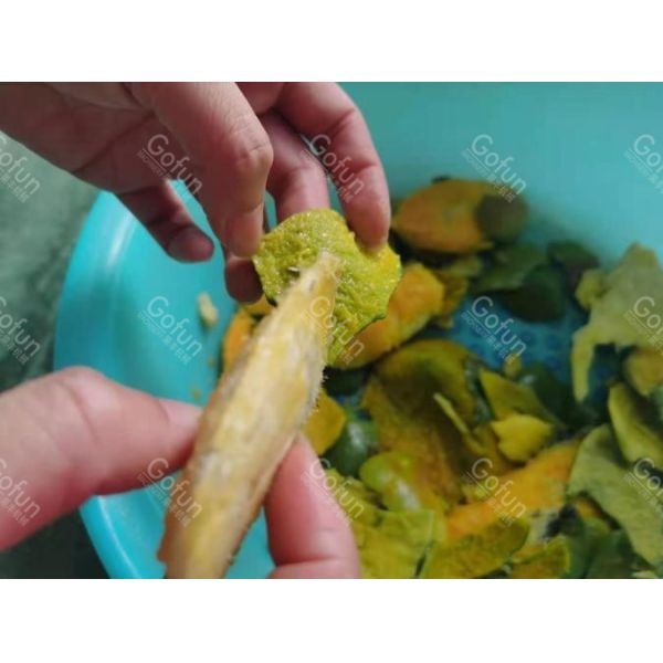 Mango processing plant special pulp extraction production line machine