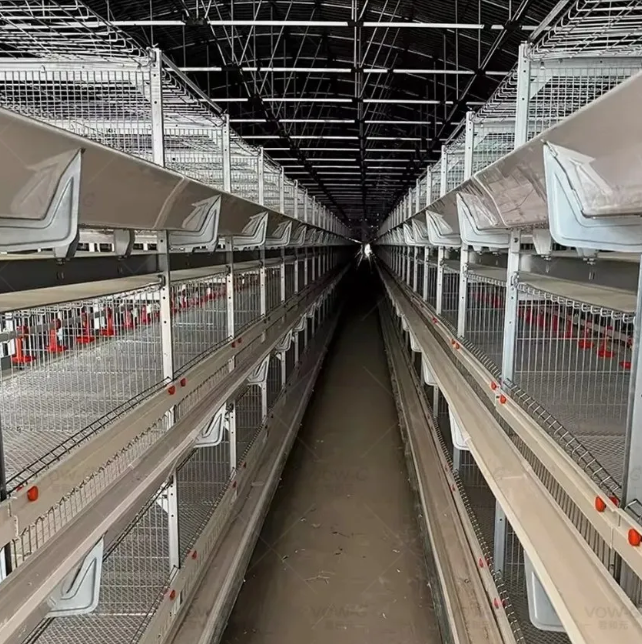 Galvanized 3-4 Tiers A Type Battery Egg Chicken Layer Cage with Automatic Feeding System
