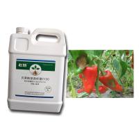 Fertilizante CY30 Bacillus Velezensis Cure Crop Black Spot Pear Fungicida