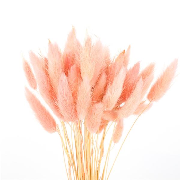 Home Decoration Beautiful Dried Flowers Rabbit Tail Grass Custom Color