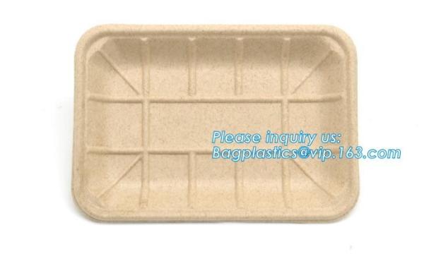 Dishes Plates Eco Friendly Dinnerware Blister Packaging Resturant Serving Tray