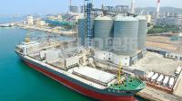 Descarregador Shipborne do navio do cimento/descarregador 200 navio do parafuso - variável da velocidade 1000t/H
