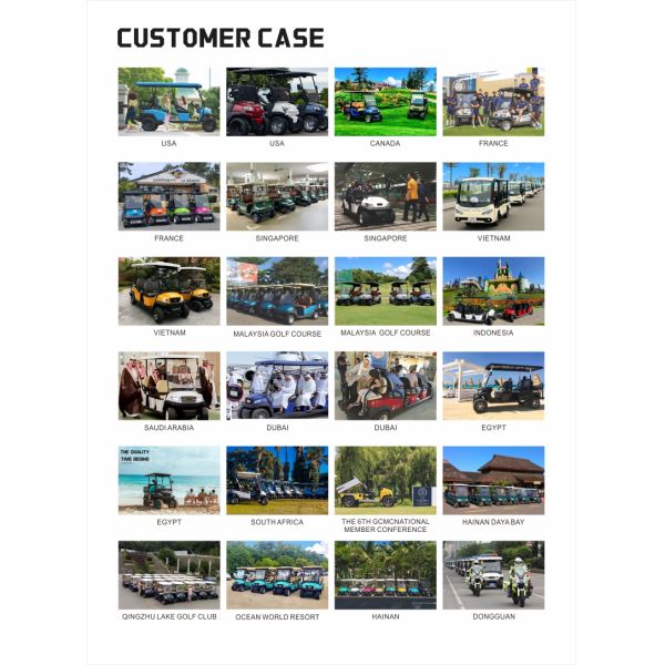 Best  Electric Sightseeing Shuttle Bus 6 Passenger With CE Approved