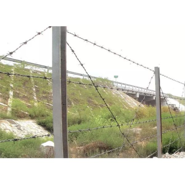 Колючая проволока земледелия 2.5mm гальванизированная
