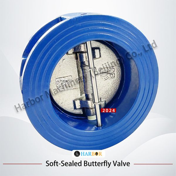 Direct Supply from DH77X-10 Wafer Connection Check Valve with Cast Iron Structure