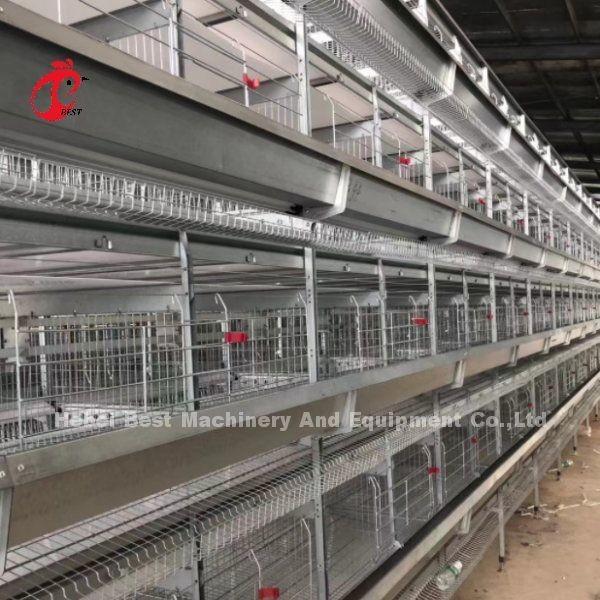 96 Birds Poultry Battery Cage System Broiler Automatic Egg Hens A Type Rose