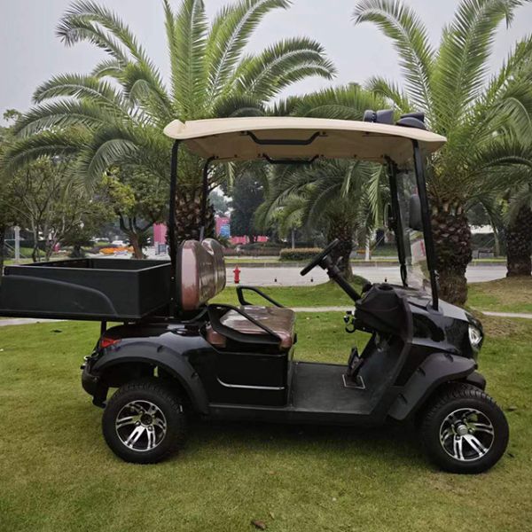 Electric Golf Cart Bag and Tires Fuel Type Electric Push Cart with Front LED Headlight
