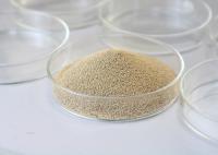 Additifs alimentaires Enzyme immobilisée Enzymes principales 4000U/g