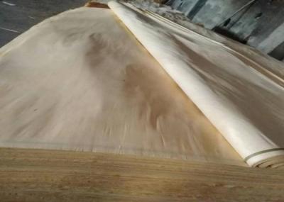 A Grade Rotary Cut White Birch Wood Veneer Sheets 0.18mm 0.22mm