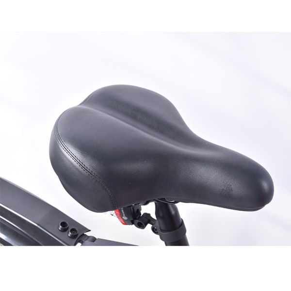 Multiapplication Fat Tire Electric Mountain Bike With 13AH Lithium Battery