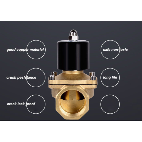 24V DC 3/8 Inch Brass Water Solenoid Valve 2W160-10 For Water Treatment