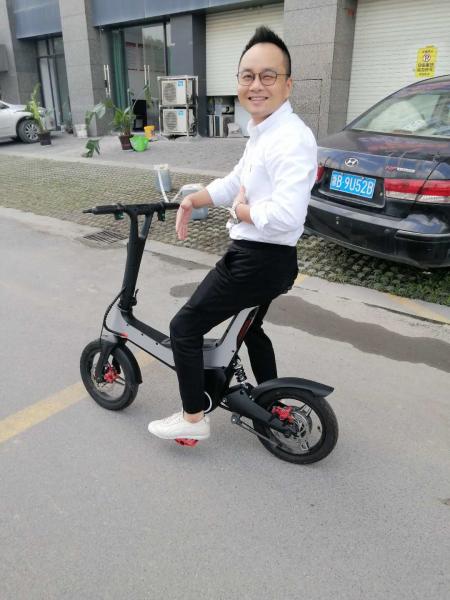 Precursor 30KM Mileage 11.3Ah Battery  Portable 3 Wheel E Scooter