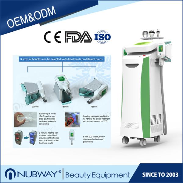 2019 most popular high quality best service body slimming Cryolipolysis machine